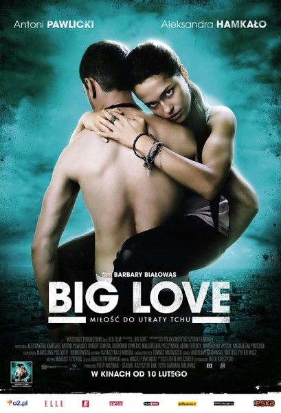 Большая любовь / Сука любовь / Big Love (2012/DVDRip)